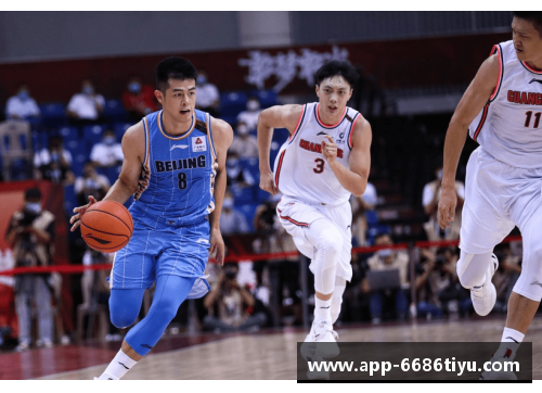 CBA球员飞：从赛场闪耀到人生新高峰